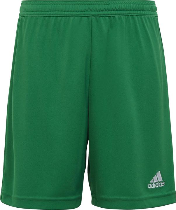 adidas Kinder Shorts Entrada 22 grün IC7410 (152cm) (152)