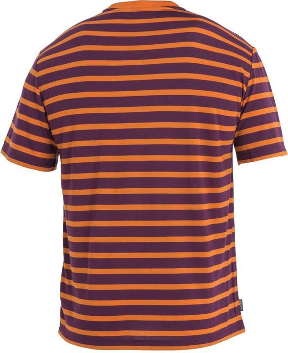 Image du produit Icebreaker M Tee Drayden SS Stripe (M)