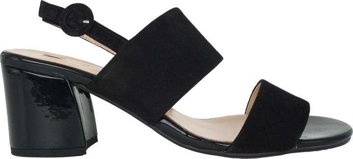 Image du produit Hogl Pure (42)