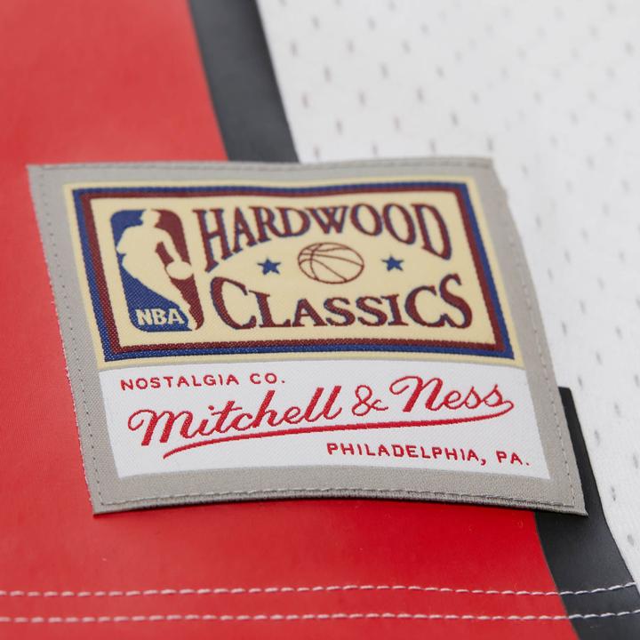 Image du produit Mitchell & Ness Swingman Mesh Jersey Chicago Bulls 1997 Dennis Rodman - L (L)