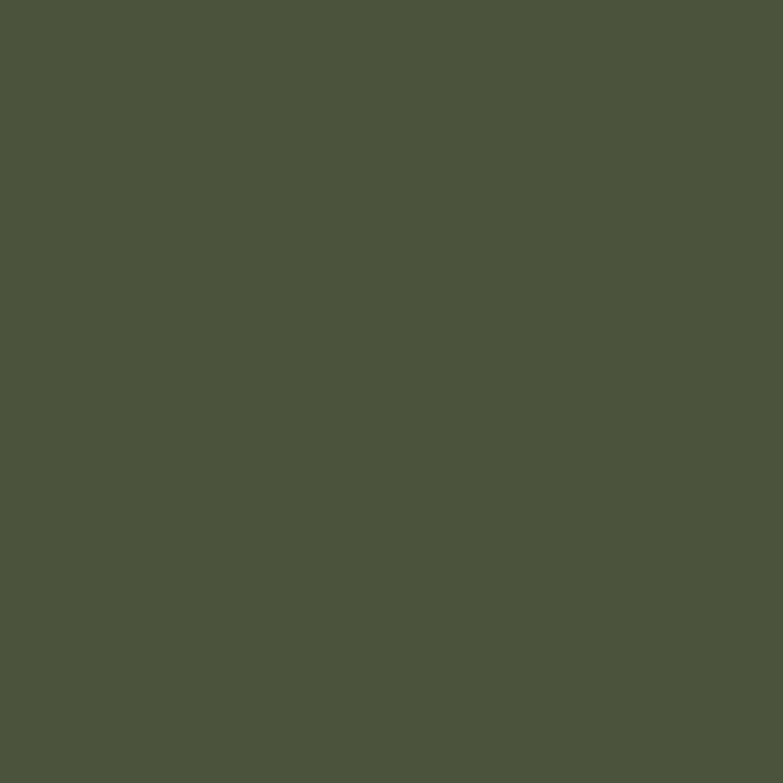 Immagine prodotto VidaXL Bordatura per prato 10 pz. Verde oliva 25x103 cm Bordatura da giardino in acciaio laminato a freddo (103 cm)
