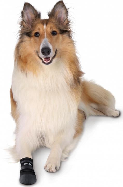 Actual product image Trixie Paw protection Walker Care (3XL, Dog boots)