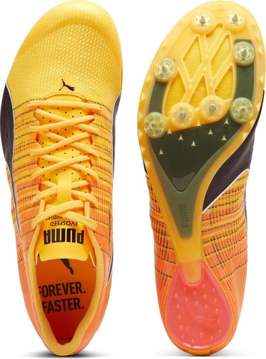 Produktbild Puma evoSPEED FUTURE 6 (37.5)