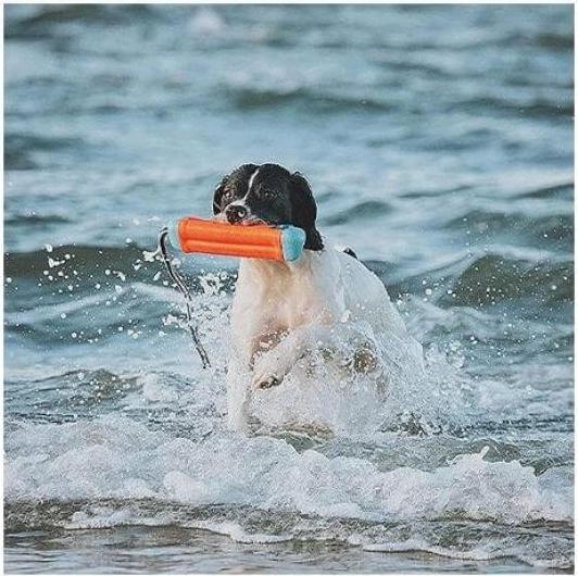Actual product image Chuckit! Amphibious Bumper Assorti (Dog chew toy)