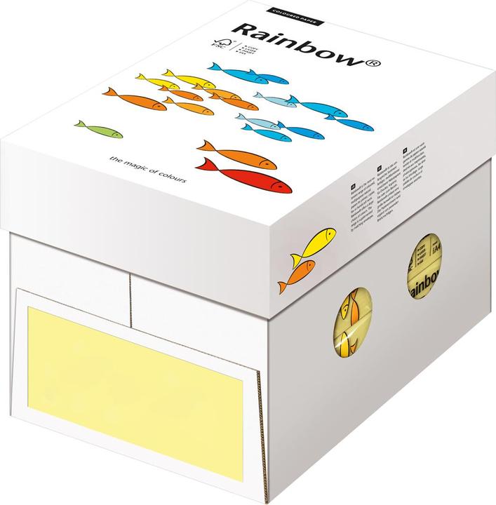 Image du produit Rainbow Papier à copier (80 g/m², 500 x, A4)