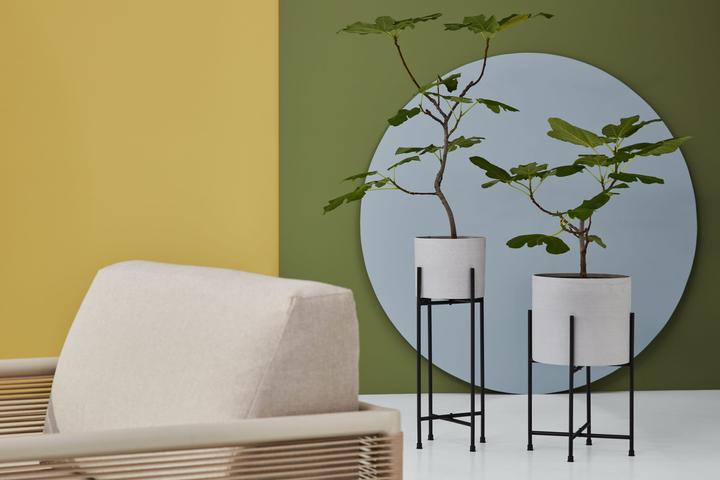 Image du produit micasa Minea (24 cm)