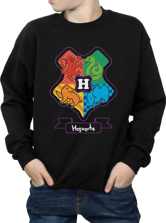 Actual product image Boys Hogwarts Junior Crest Sweatshirt (152, 158)