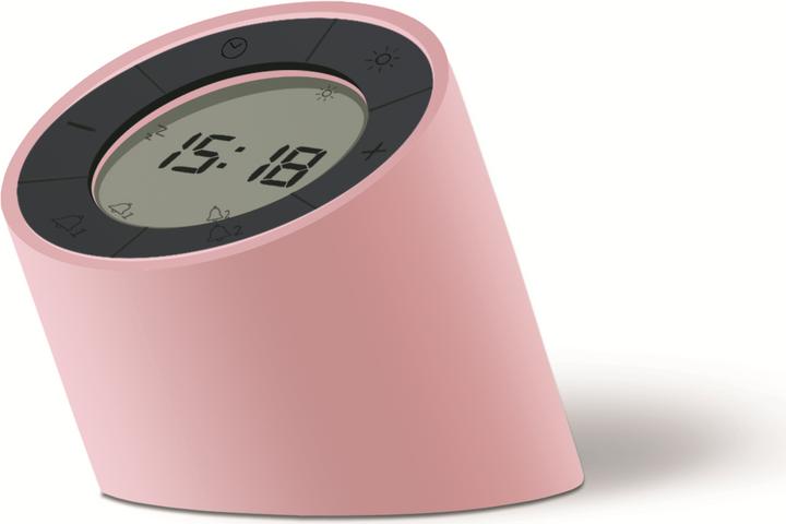 Actual product image Gingko edge light