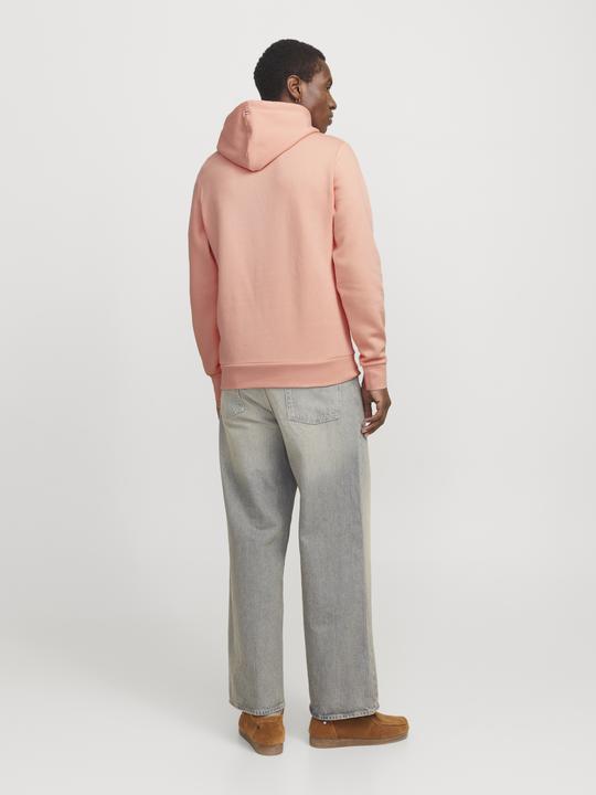 Actual product image Jack & Jones Logo hooded jumper Hooded jumper (XS)