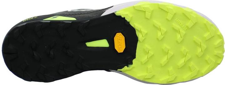 Actual product image Dynafit Alpine DNA 2 running shoes unisex (44)