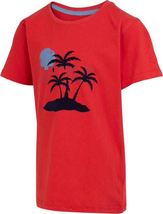 Actual product image Regatta Childrens/Kids Bosley VII Hawaii Palm Tree T-Shirt (128)
