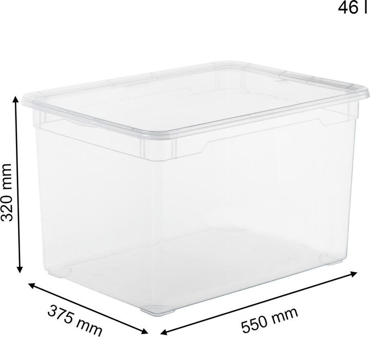 Immagine prodotto Rotho Cancella (55 x 37,5 x 32 cm, 46 l)