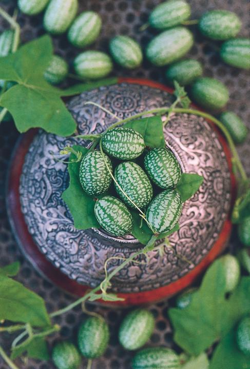 Produktbild Zollinger Bio Cornichon (Essiggurke), Melothria