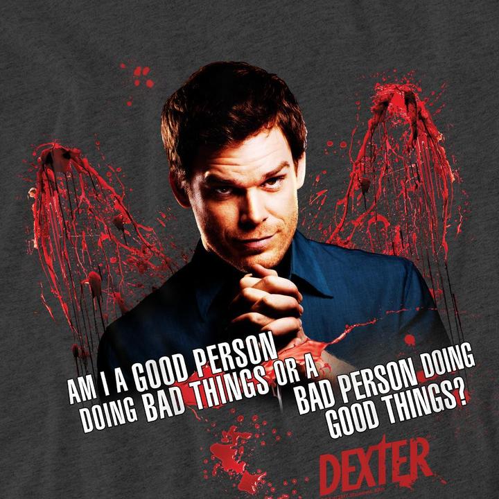 Actual product image IVF Hartmann Unisex Adult Good Bad T-Shirt (S)