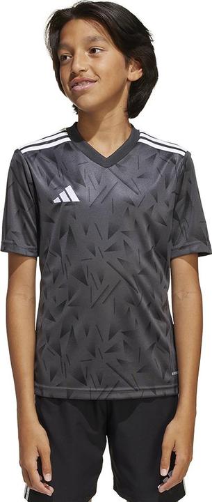 Image du produit adidas Maillot Team Icon 25 Enfants (176)