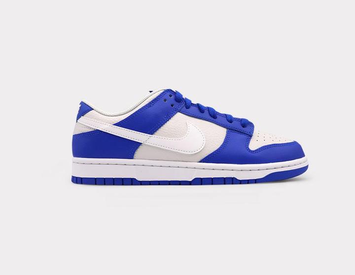 Nike Dunk Low (41)