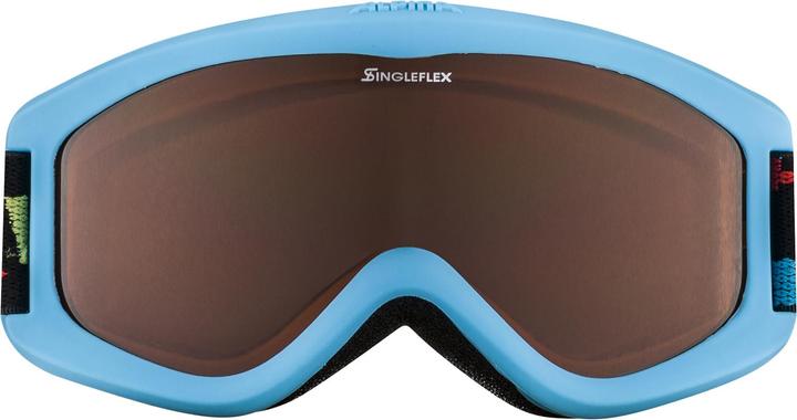 Actual product image ALPINA SPORTS Carvy 2.0