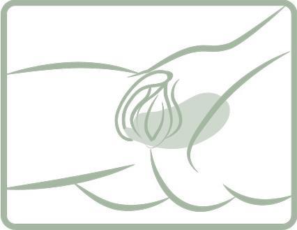 Immagine prodotto Toys4woman Insider