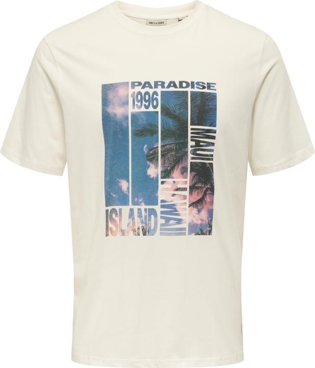 Only & Sons T-Shirt Magdy Life Kurzarmshirt (M)