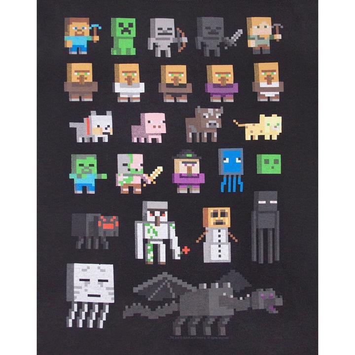 Actual product image Minecraft Official Boys Sprites Characters T-Shirt (176)