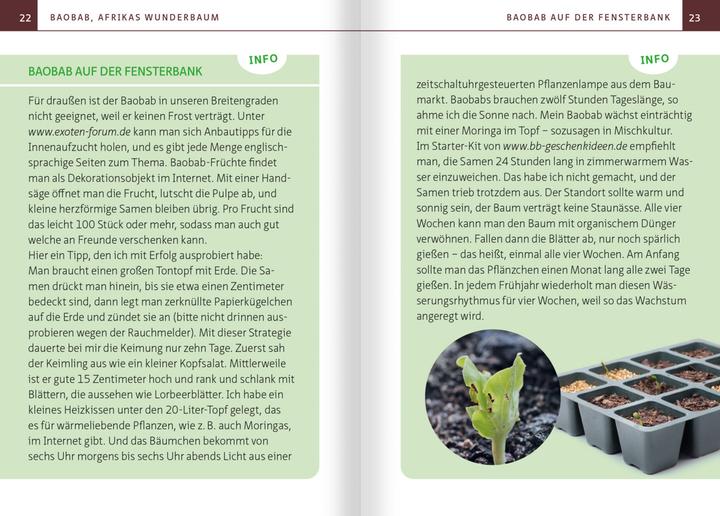 Image du produit Baobab - Die heilsame Frucht des Apothekerbaums. Kompakt-Ratgeber (Allemand, Barbara Simonsohn, 2021)