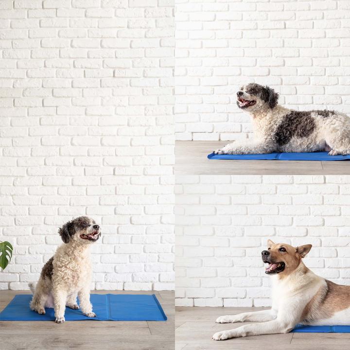 Image du produit Fudajo Tapis de refroidissement (Chat, Chien)