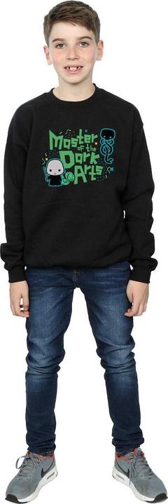 Actual product image Boys Voldemort Dark Arts Junior Sweatshirt (128)