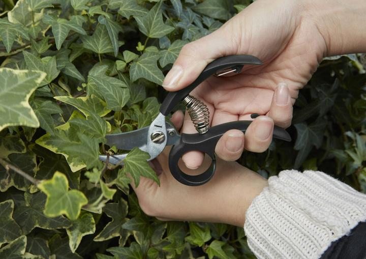 Produktbild Kikkerland Garden Shears