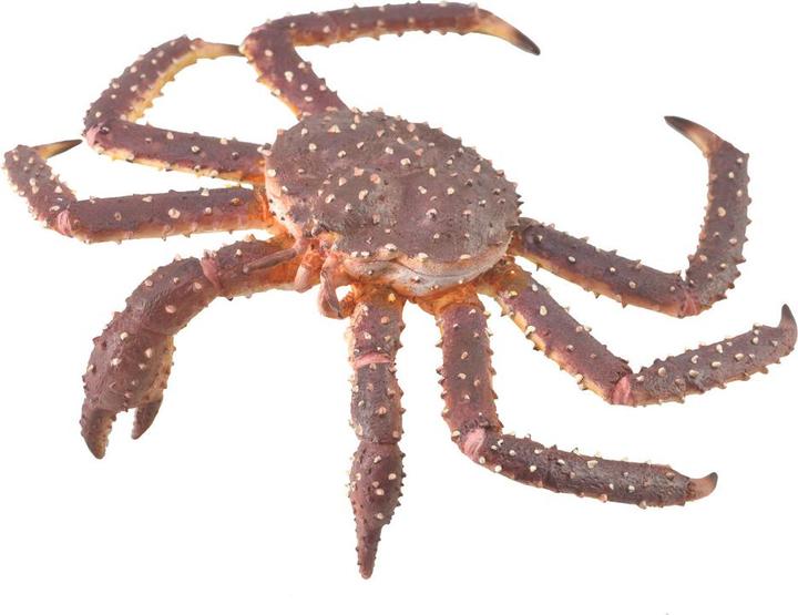 Actual product image Collecta King crab