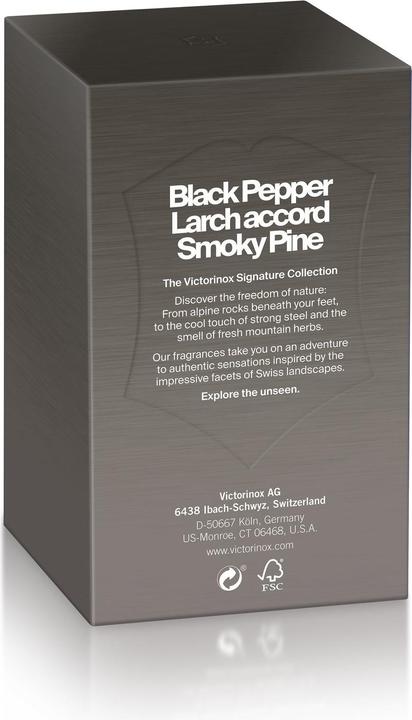 Actual product image Victorinox Black Steel (Eau de toilette, 100 ml)