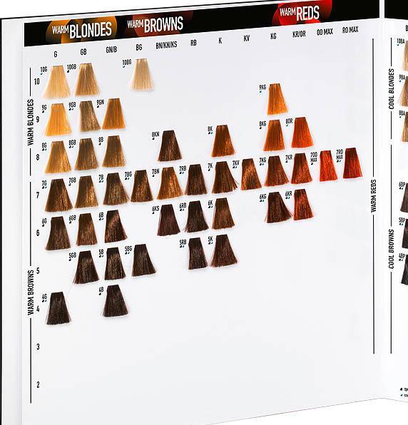 Produktbild Goldwell GW Farbkarte Topchic/ TC/ Colorance