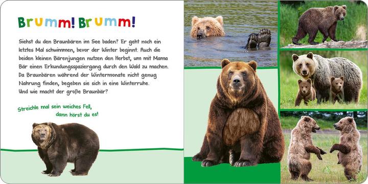 Actual product image Hör mal rein, wer kann das sein? – Tiere im Herbst (German)
