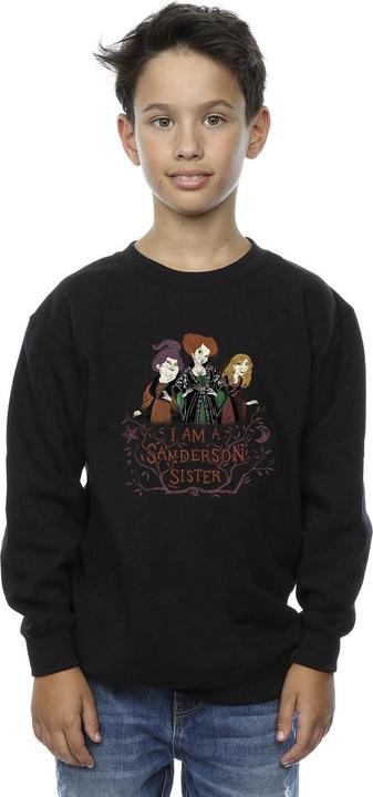 Produktbild Disney Hocus Pocus Sanderson Sister Sweatshirt Jungen (152, 158)