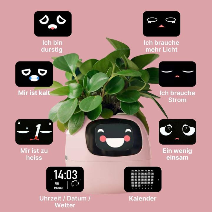 Actual product image Hermex Smart flower pot (11 cm)