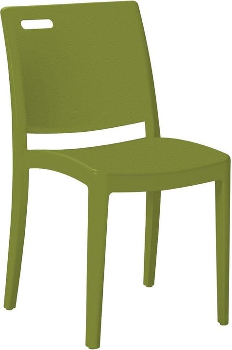 Vert Cactus