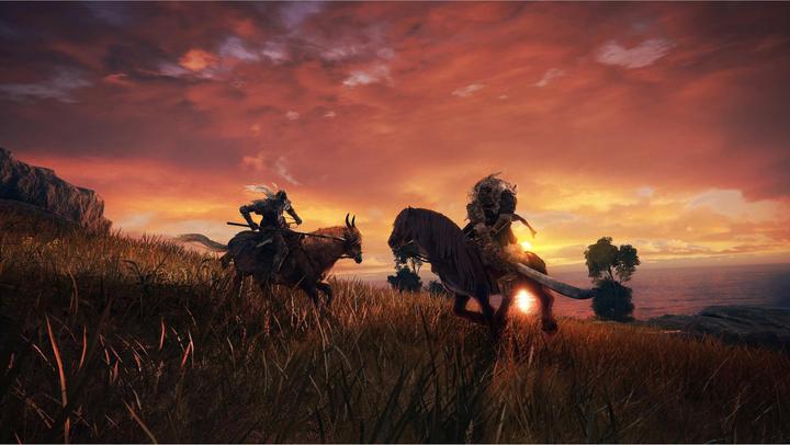 Immagine prodotto Bandai Namco Elden Ring - Standard Edition (PS5, FR, DE, IT)
