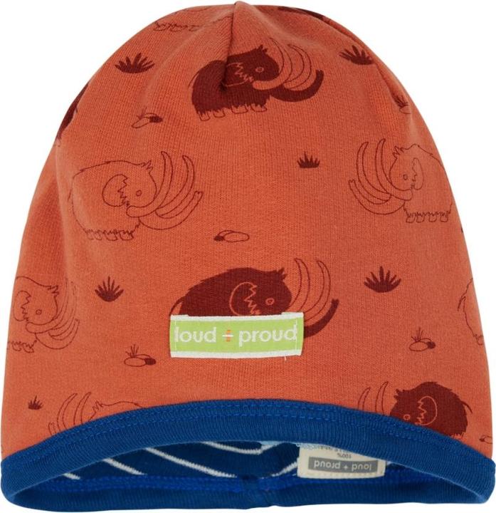 Immagine prodotto loud + proud Stampa berretto reversibile (62/68)