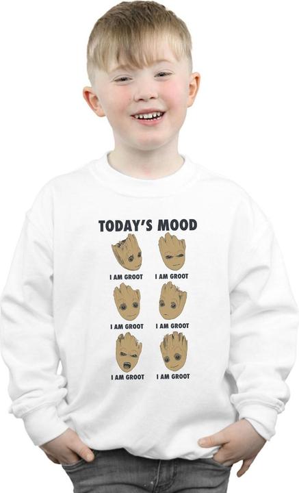 Produktbild Guardians Of The Galaxy Groot Today's Mood Sweatshirt Jungen (152, 158)