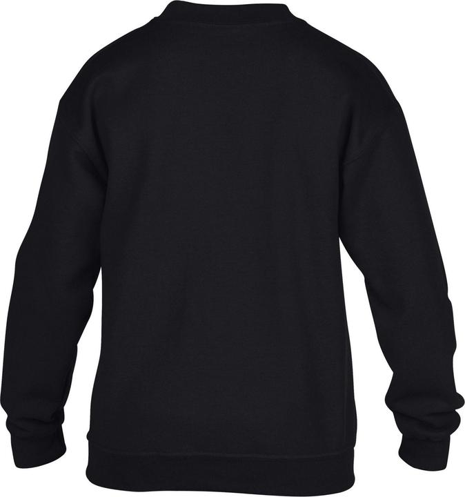 Image du produit Gildan - Sweat - Enfant (104)