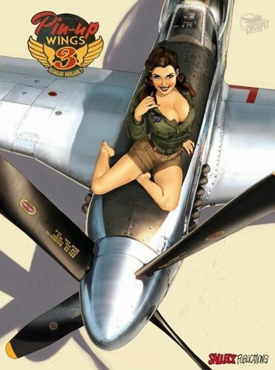 Actual product image Pin-up Wings 3 (German, Romain Hugault Hugault, 2014)