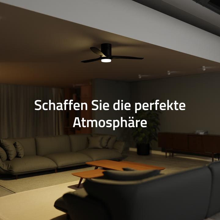 Image du produit Hombli Deckenventilator mit Licht (43 dB)