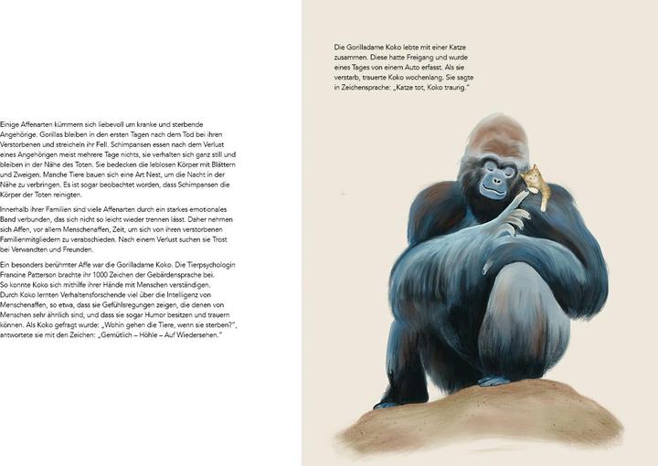 Produktbild Jumbo Wie Tiere trauern (Deutsch, Hanna Mller, Carla Swiderski, 2022)