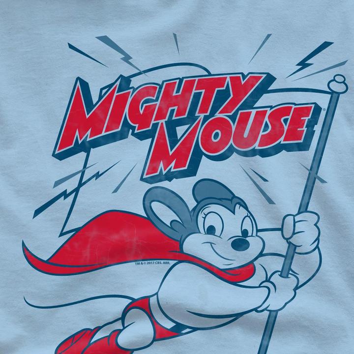 Produktbild Fruit of the Loom Mighty Flag TShirt (S)