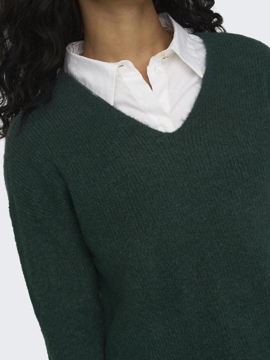 Actual product image Only V-neck knit jumper (L)