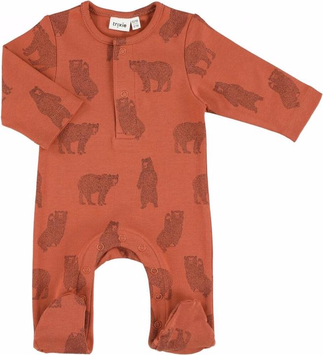Brave Bear