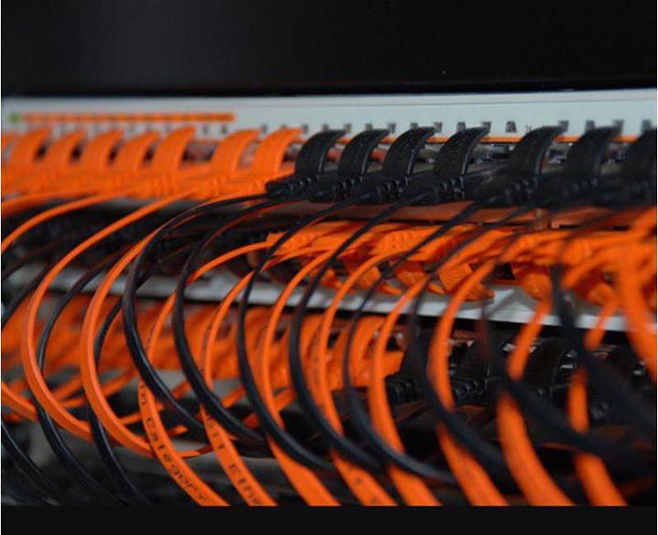 Actual product image Wirewin Network cable (U/FTP, CAT6, 0.50 m)