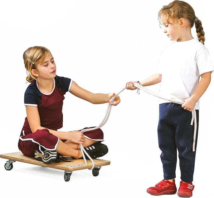 Immagine prodotto Sport-Thieme Pannello a rullo standard