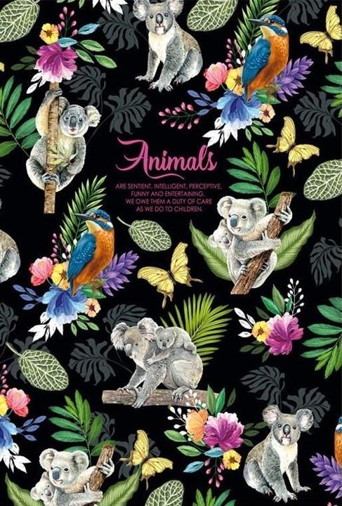 Image du produit Fresh Dekoratives Notizbuch 145x197/80K Raster TW Koale