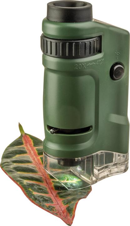 Actual product image Carson Kids Microscope avec LED MicroBrite