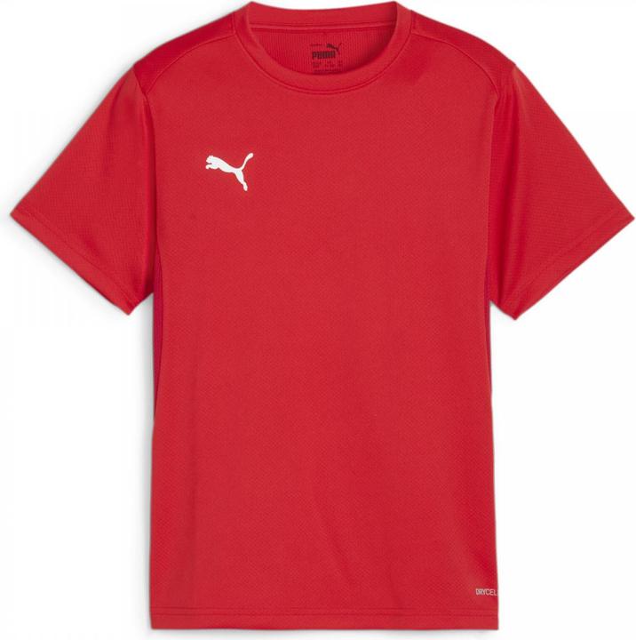 Actual product image Puma teamGOAL Jersey Jr (152)